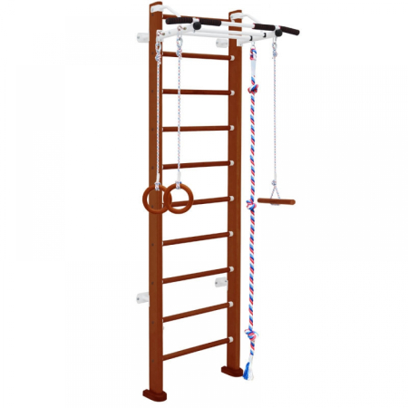 Детский спортивный комплекс ДСК Карусель Адлер (пристеночный)