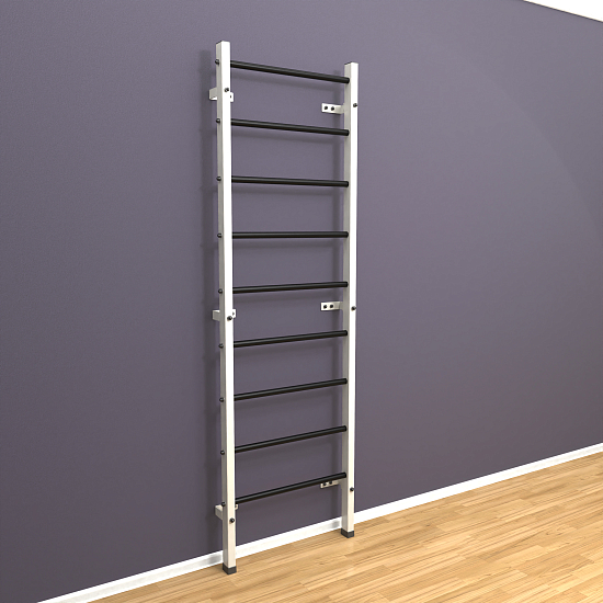 картинка Шведская стенка "LittleSport" (белый*черный) от магазина Лазалка